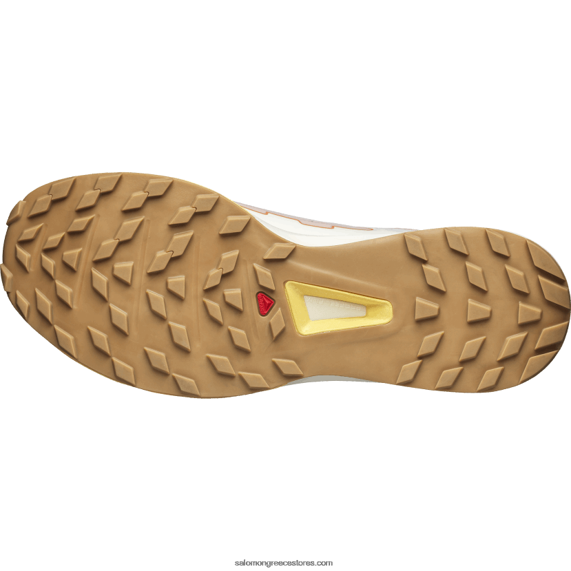 γυναικεία αθλητικά παπούτσια - ultra raid Salomon μοργανίτης/πάγος βανίλιας/φιλί του ήλιου DXFPHB777