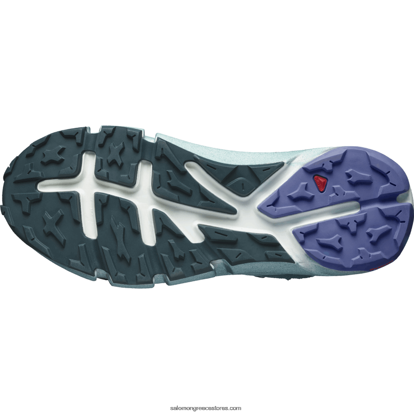 γυναικείες μπότες πεζοπορίας - προβλέψτε την πεζοπορία στα μέσα του gore-tex Salomon πέτρινο μπλε/ατλαντικός βαθύς/ουρανός της Γρανάδας DXFPHB1132