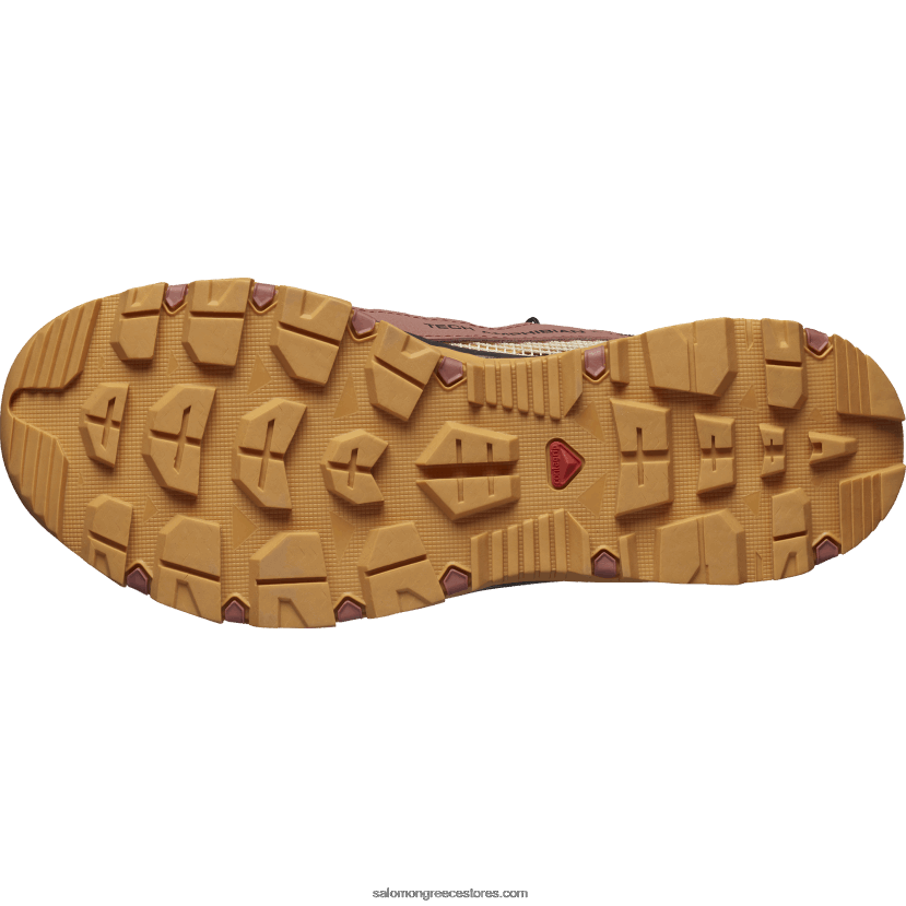 γυναικεία παπούτσια νερού - techamphibian 5 Salomon σύννεφο από ξύλο κέδρου / ιπποδερμία / τριαντάφυλλο DXFPHB789