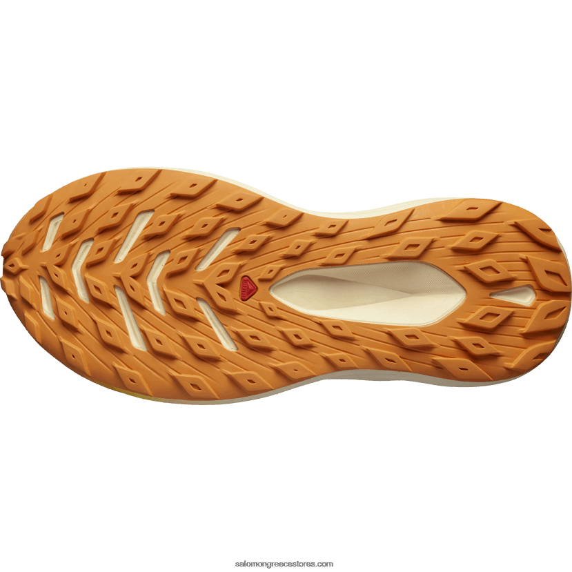 γυναικεία παπούτσια τρεξίματος - glide max tr Salomon λευκασμένη άμμος/τρυφερό ροδάκινο/πορτοκαλί πιπεριά DXFPHB1499
