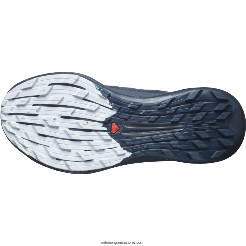 γυναικεία παπούτσια τρεξίματος - pulsar trail pro 2 Salomon άνθρακας/άνθιση ορχιδέας/αρκτικός πάγος DXFPHB1493