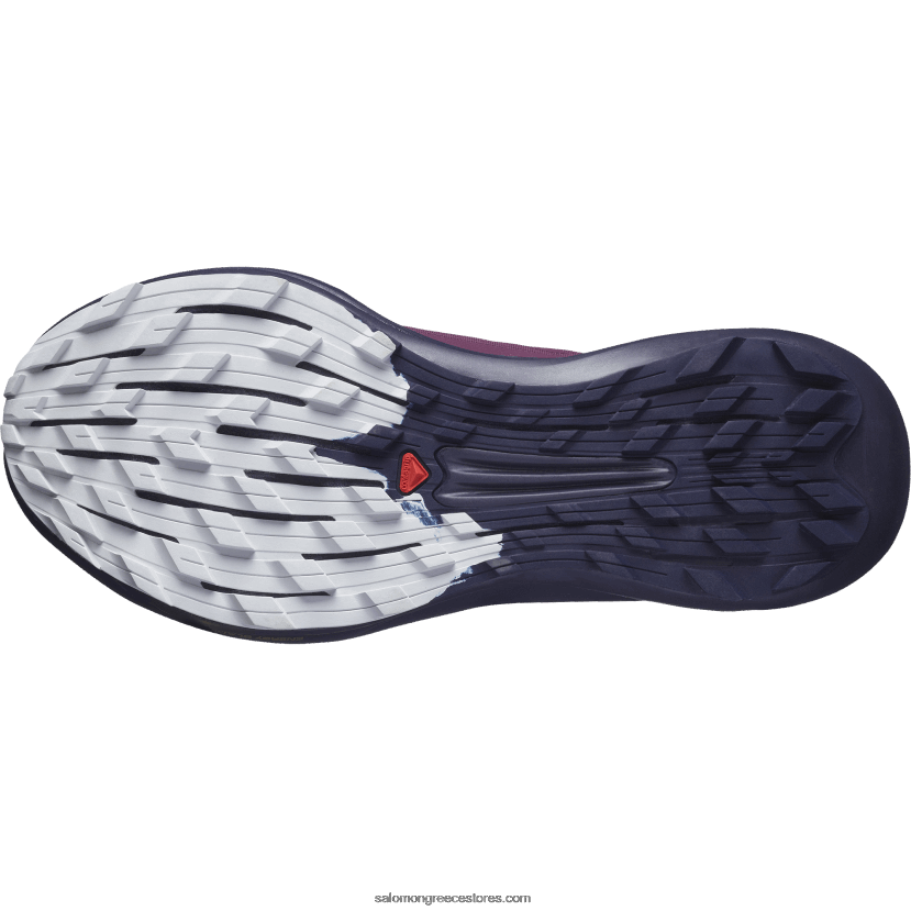 γυναικεία παπούτσια τρεξίματος - pulsar trail pro Salomon κρασί από σταφύλι/νυχτερινός ουρανός/σεληνιακός βράχος DXFPHB1532
