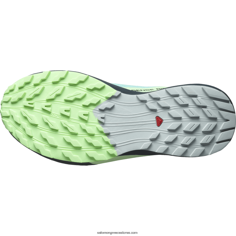 γυναικεία παπούτσια τρεξίματος - sense ride 5 gore-tex Salomon μπλε λάμψη/πράσινη τέφρα/μελάνη Ινδίας DXFPHB1528