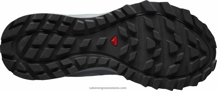 γυναικεία παπούτσια τρεξίματος - trailster 2 Salomon μόλυβδος/θυελλώδης καιρός/παγωμένο πρωί DXFPHB1547