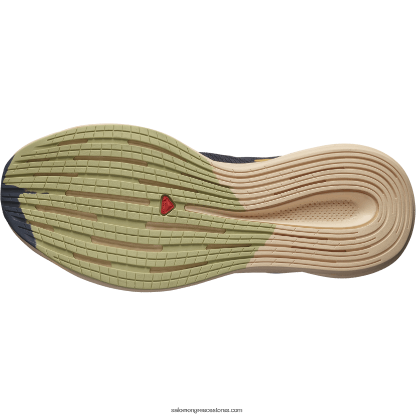 γυναικεία παπούτσια για τρέξιμο - spectur Salomon έβενος/κρέμα αμυγδάλου/πράσινο πράσο DXFPHB749