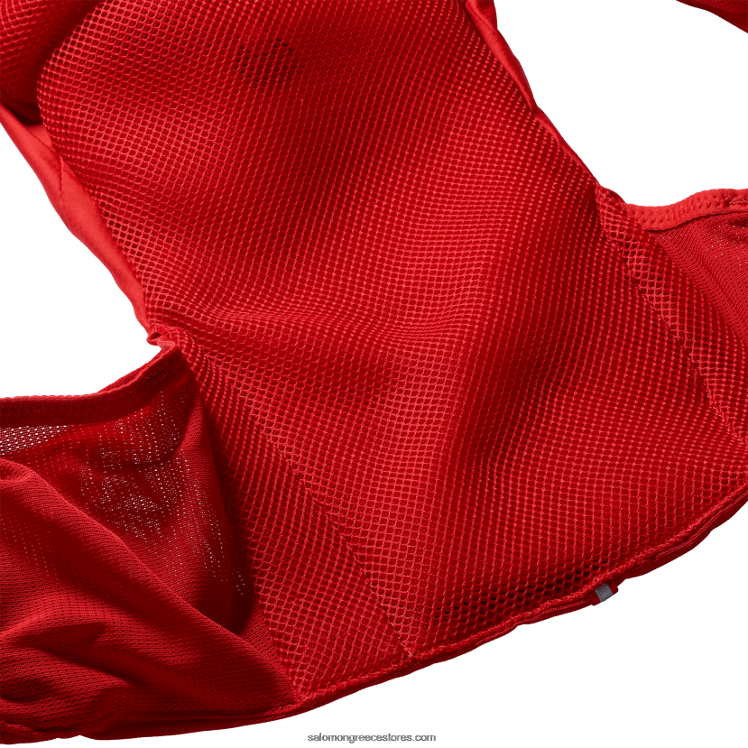 ανδρικό γιλέκο τρεξίματος με φιάλες που περιλαμβάνονται - adv skin 5 Salomon γκότζι μπέρι/έβενο DXFPHB320