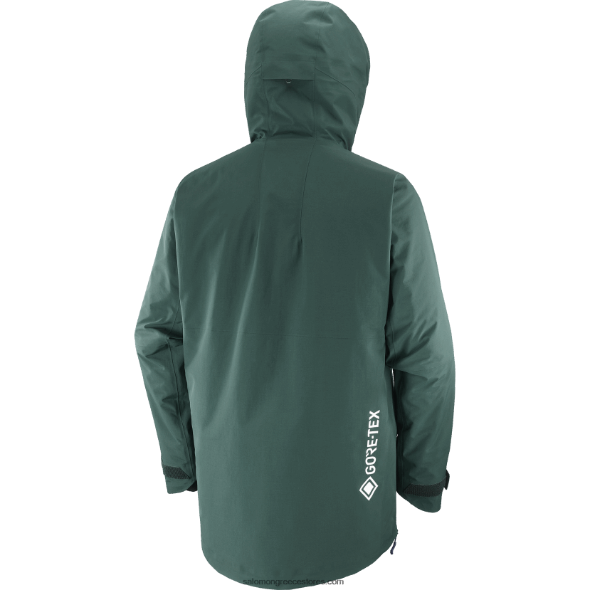 ανδρικό μπουφάν με κουκούλα - gravity gore-tex anorak Salomon ponderosa πεύκο/νυχτερινός ουρανός DXFPHB557
