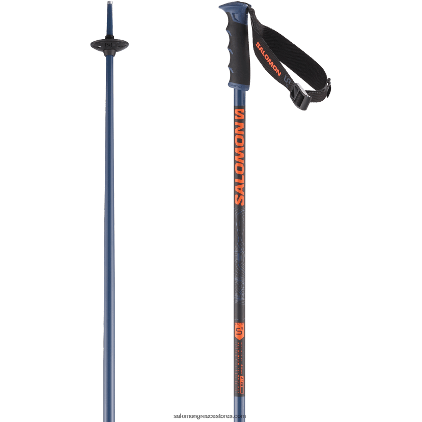 αλπικοί στύλοι ανδρών - arctic s3 Salomon όπλο μεταλλικό DXFPHB1244