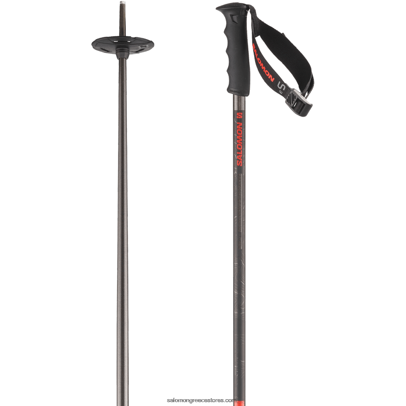 ανδρικά αλπικά κοντάρια - arctic s3 xl Salomon γκρί DXFPHB1251