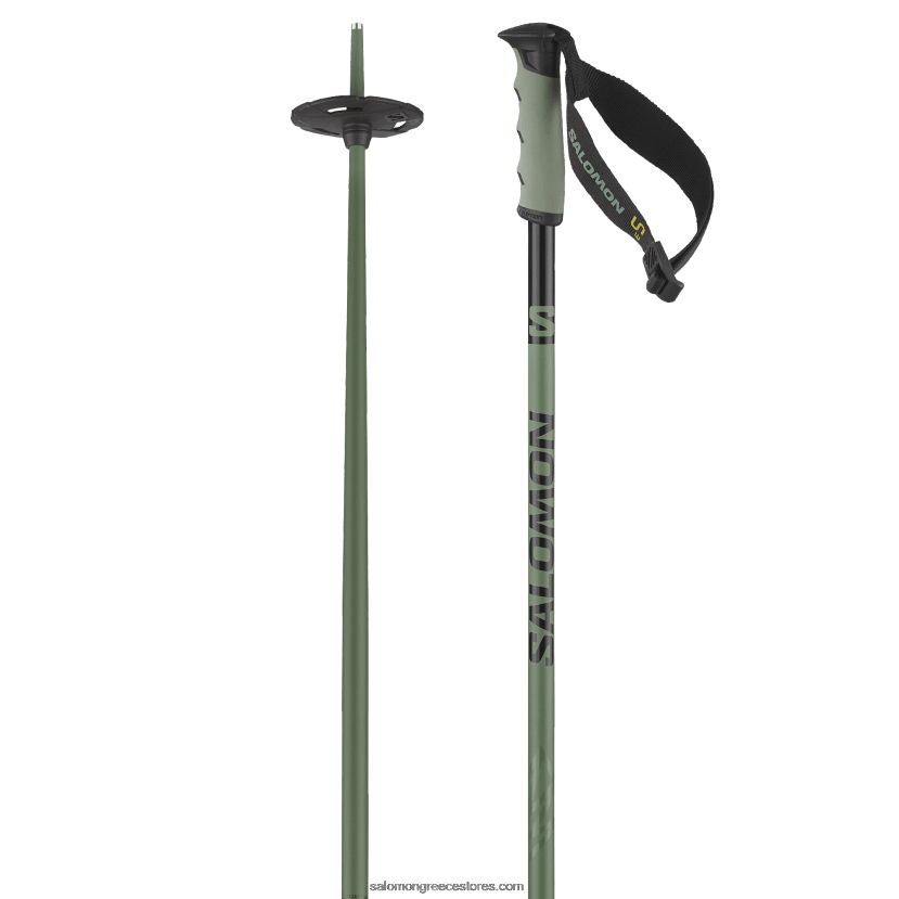 ανδρικά αλπικά κοντάρια - hacker s3 Salomon πράσινη πάπια DXFPHB1248