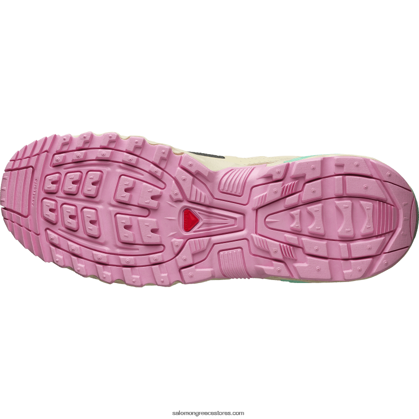 ανδρικά αθλητικά παπούτσια - acs + Salomon έβενος/βρύα/βισκαϊκό πράσινο DXFPHB144