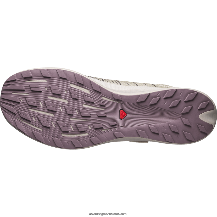 ανδρικά αθλητικά παπούτσια - pulsar advanced Salomon σκώρος/στάχτες τριαντάφυλλων/σεληνιακό τοπίο DXFPHB140