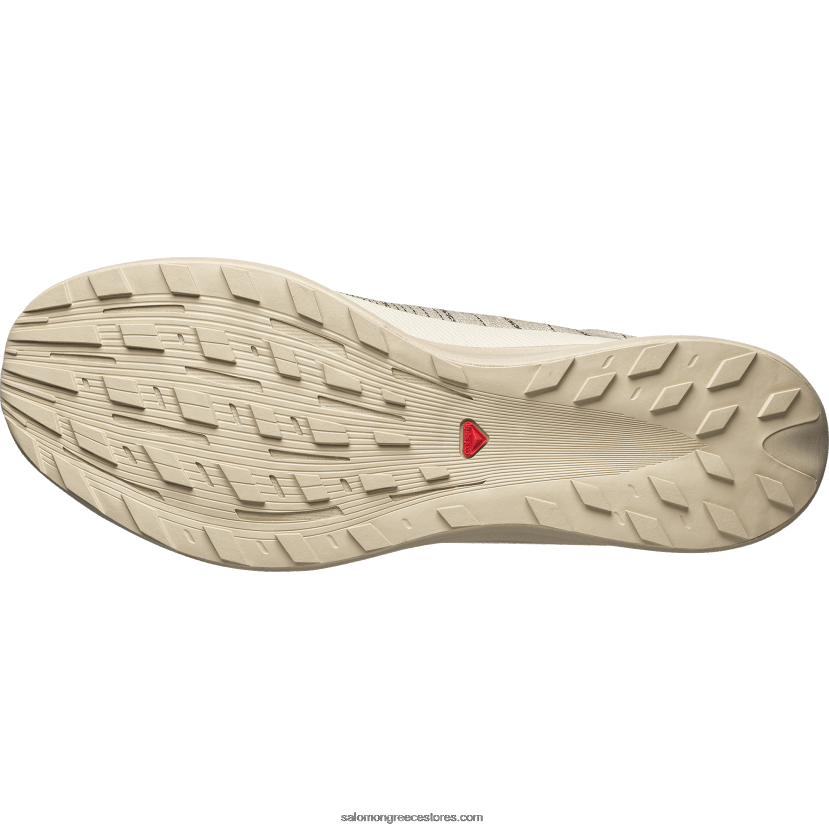 ανδρικά αθλητικά παπούτσια - pulsar advanced Salomon πάγος βανίλιας/φτερό γκρι/φλογερό κόκκινο DXFPHB141