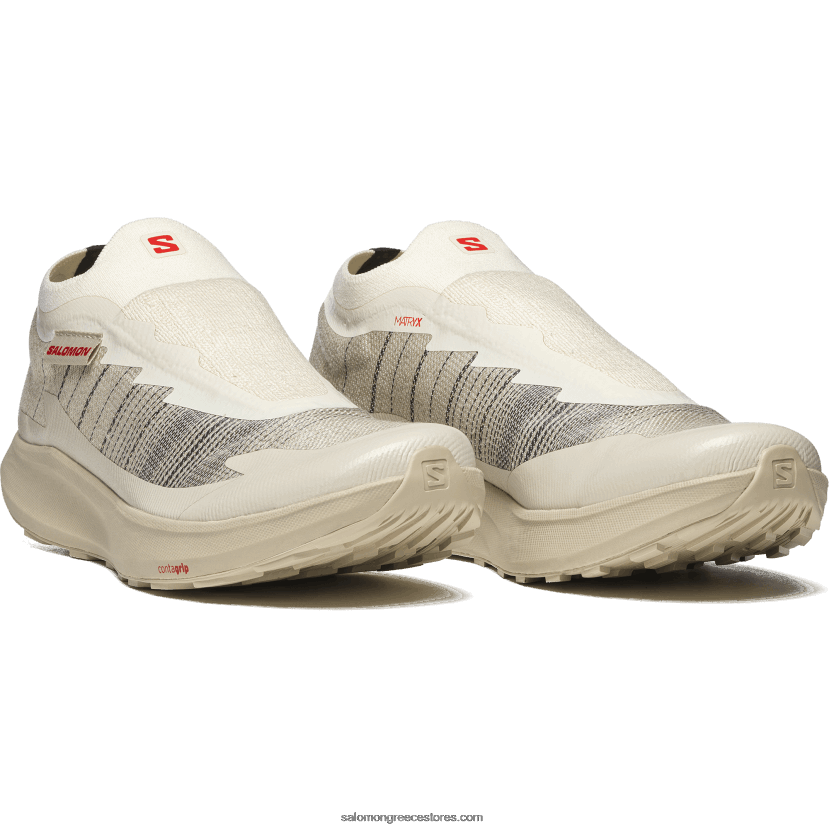 ανδρικά αθλητικά παπούτσια - pulsar advanced Salomon πάγος βανίλιας/φτερό γκρι/φλογερό κόκκινο DXFPHB141