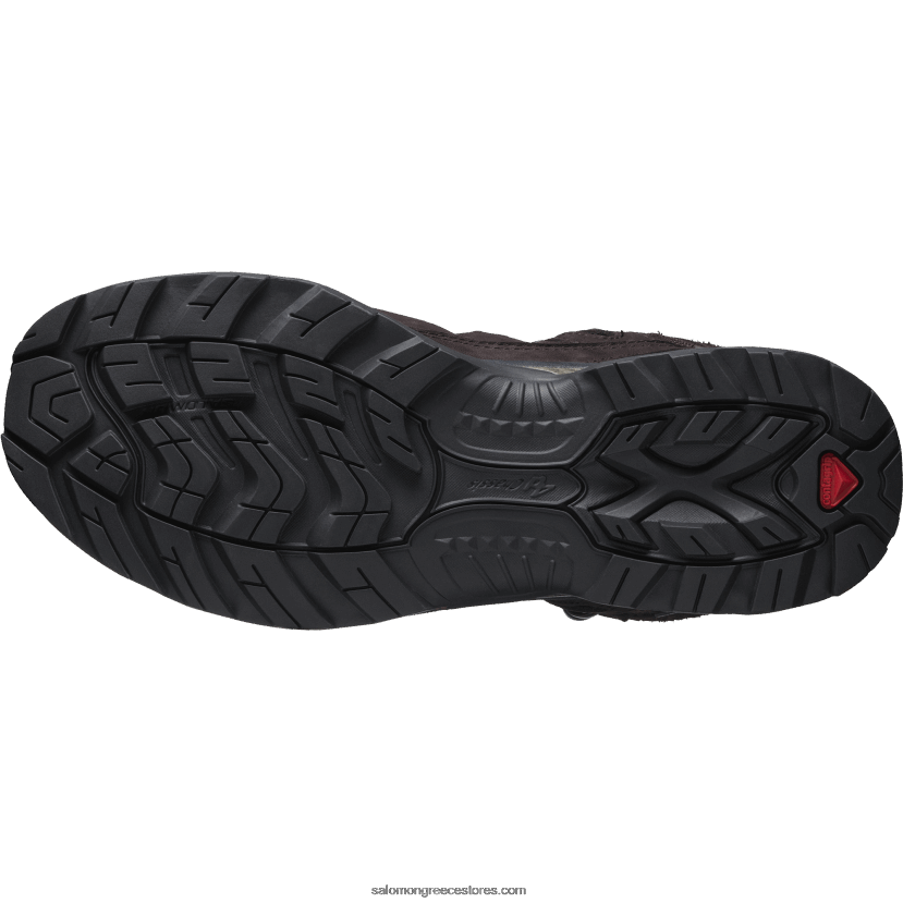 ανδρικά αθλητικά παπούτσια - quest 3 4d gore-tex Salomon σοκολατένιο δαμάσκηνο/μαύρο DXFPHB213