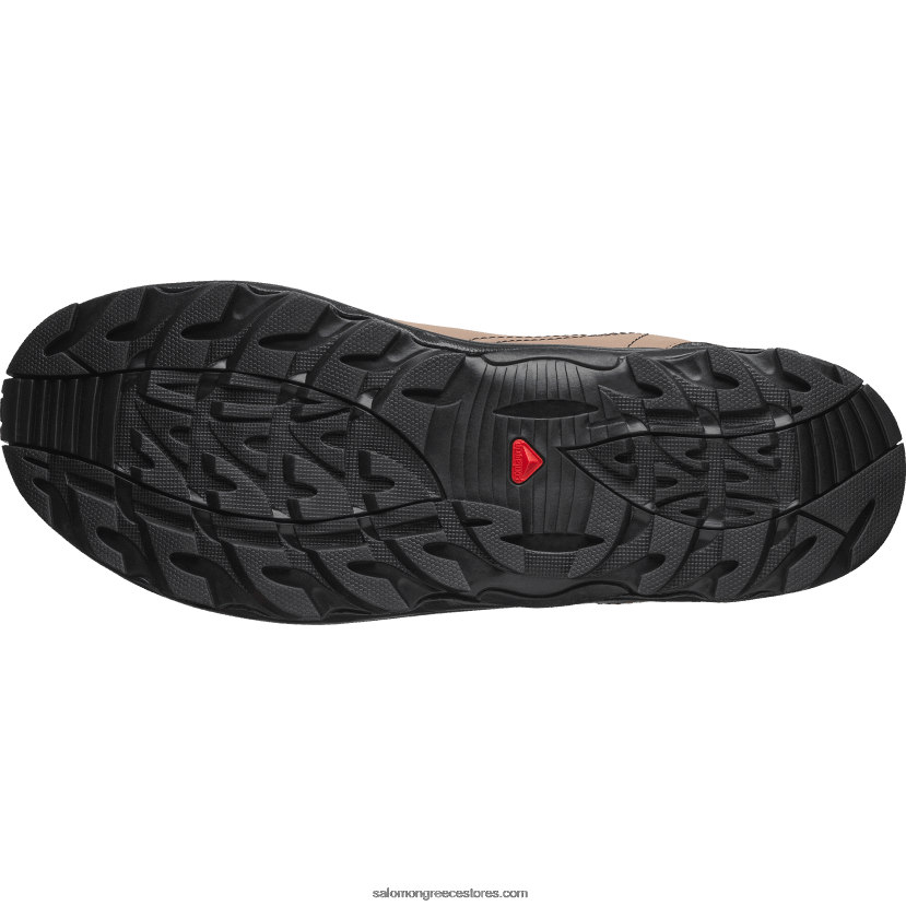 ανδρικά αθλητικά παπούτσια - raid wind 75ο Salomon χρυσή δρυς/βελανίδι/μαύρο DXFPHB161