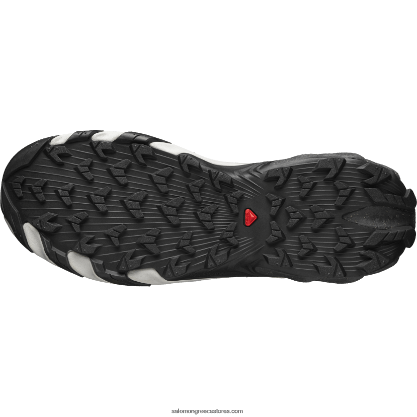 ανδρικά αθλητικά παπούτσια - speedverse prg Salomon ασημί/παγετό γκρι/σεληνιακό βράχο DXFPHB114