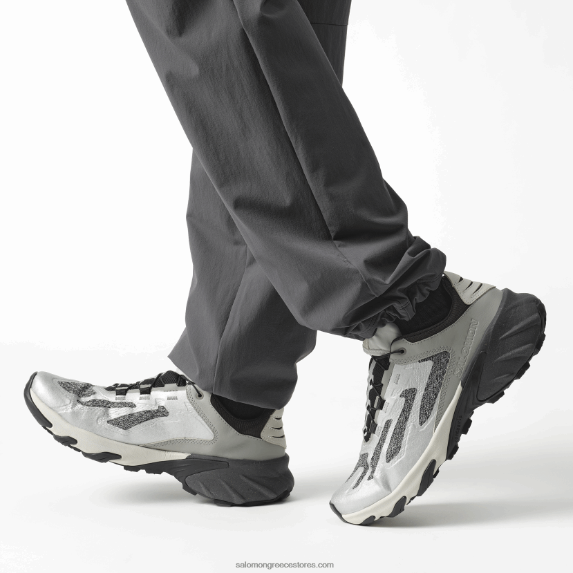 ανδρικά αθλητικά παπούτσια - speedverse prg Salomon ασημί/παγετό γκρι/σεληνιακό βράχο DXFPHB114
