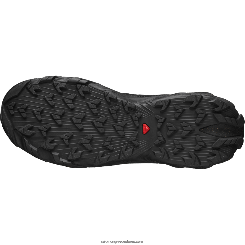 ανδρικά αθλητικά παπούτσια - speedverse prg Salomon μαύρο/κράμα DXFPHB116