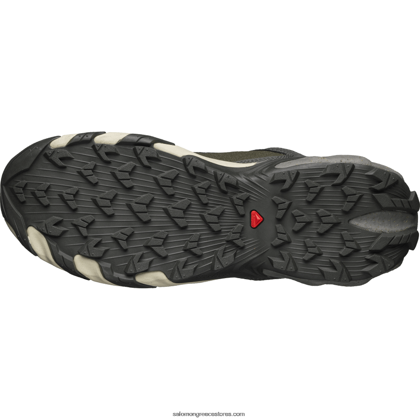 ανδρικά αθλητικά παπούτσια - speedverse prg Salomon beluga / κασσίτερο / φεγγαρότοπο DXFPHB113