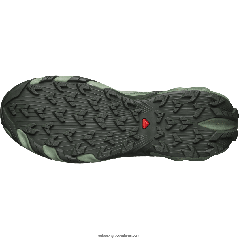 ανδρικά αθλητικά παπούτσια - speedverse prg Salomon βαθύ δάσος/δάφνινο στεφάνι/ κρίνο pad DXFPHB115