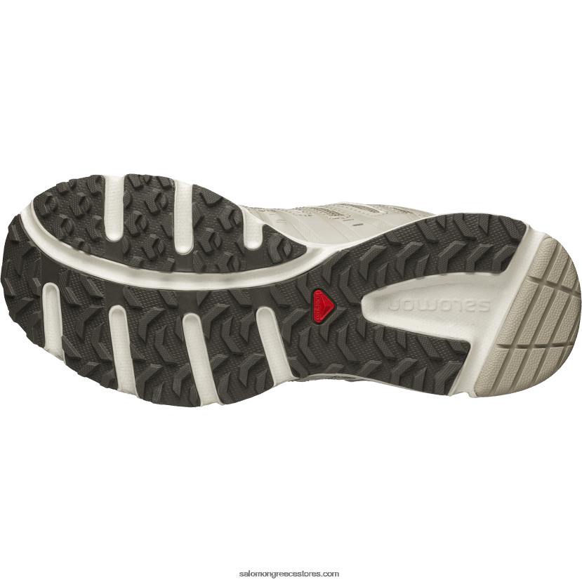 ανδρικά αθλητικά παπούτσια - x-mission 3 Salomon πάγος μείζονος καφέ/γκρι φτερού/βανίλιας DXFPHB205