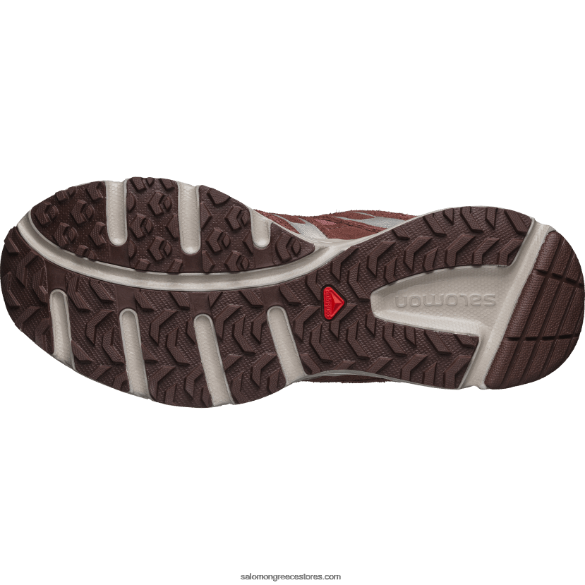 ανδρικά αθλητικά παπούτσια - x-mission 4 suede Salomon σεληνιακό τοπίο/άγριο τζίντζερ/πικρό τσοκ λτρ DXFPHB166