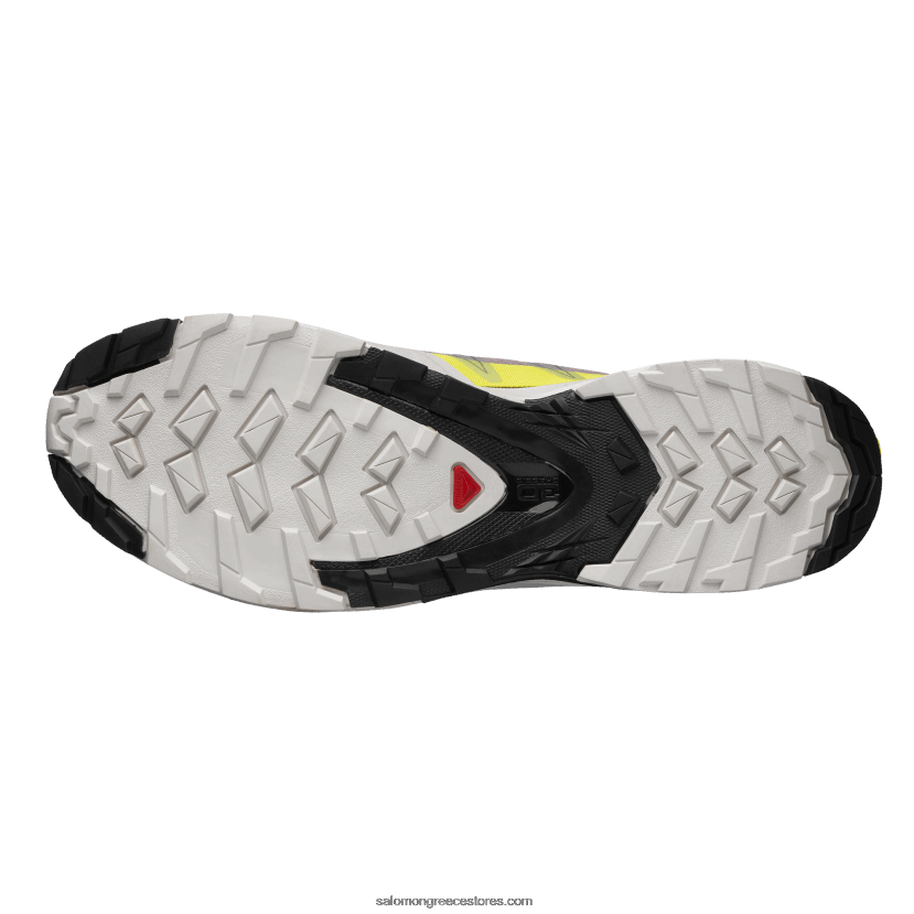 ανδρικά αθλητικά παπούτσια - κάλυμμα xa Salomon στάχτες από τριαντάφυλλα/ορτύκια/φιλί του ήλιου DXFPHB210