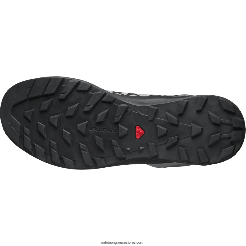 ανδρικά αθλητικά παπούτσια - xa alpine 2 advanced Salomon γλάρος/φάντασμα/αρκτικός πάγος DXFPHB201