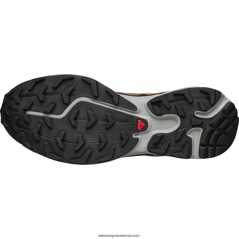 ανδρικά αθλητικά παπούτσια - xt-6 Salomon Cathay μπαχαρικό/λατομείο/σύννεφο τριαντάφυλλου DXFPHB74