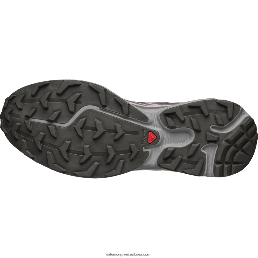 ανδρικά αθλητικά παπούτσια - xt-6 Salomon σεληνιακό τοπίο/δαμασκηνί γατάκι/γλάρος DXFPHB79