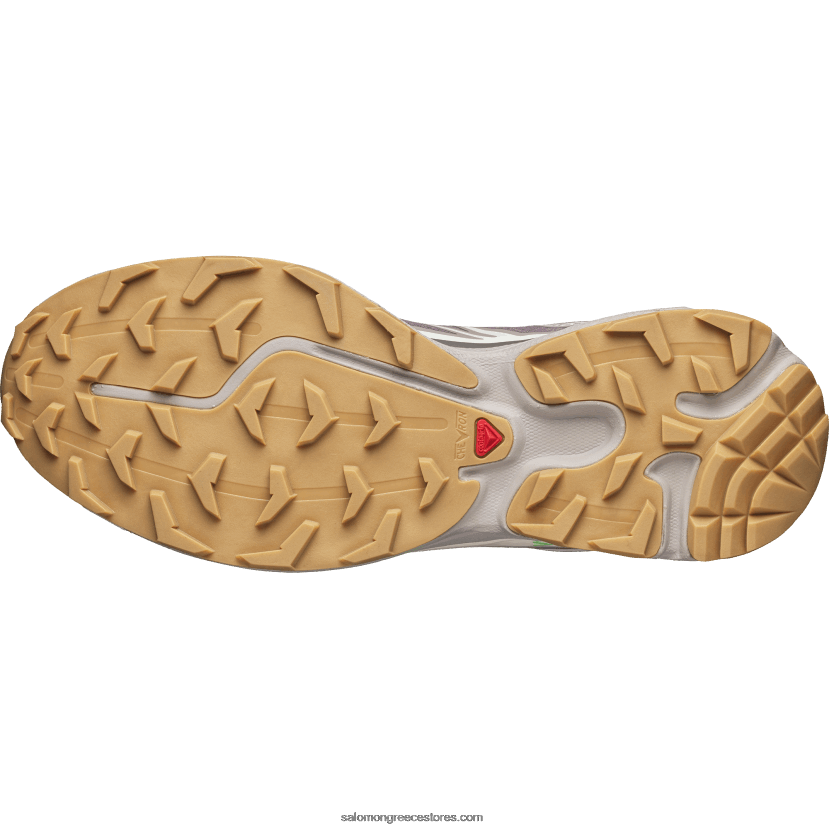 ανδρικά αθλητικά παπούτσια - xt-6 Salomon ορτύκια/δαμάσκηνο γατάκι/πάγος βανίλιας DXFPHB80