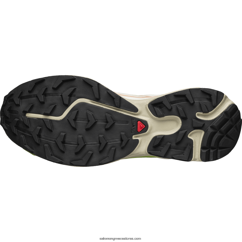 ανδρικά αθλητικά παπούτσια - xt-6 Salomon βανίλια πάγος/φτερό γκρι/ροζ σύννεφο DXFPHB82