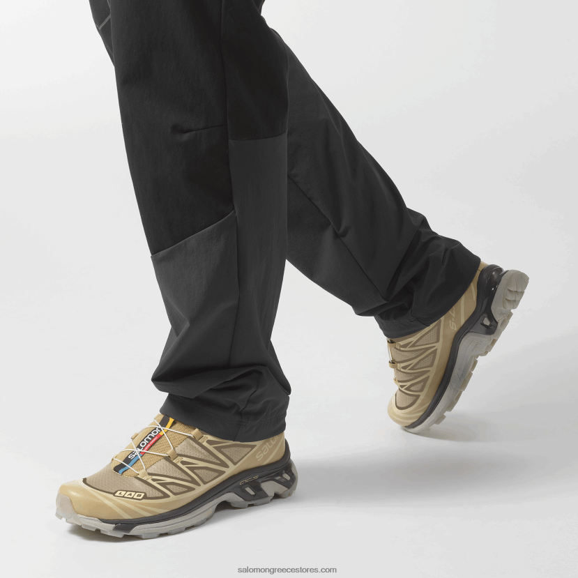 ανδρικά αθλητικά παπούτσια - xt-6 clear Salomon σαφάρι/μαγνήτης/πάγος βανίλιας DXFPHB121