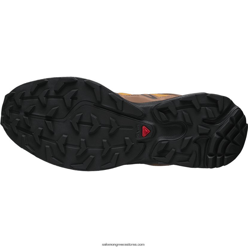 ανδρικά αθλητικά παπούτσια - xt-6 expanse 75η Salomon χρυσή δρυς/βελανίδι/μαύρο DXFPHB225