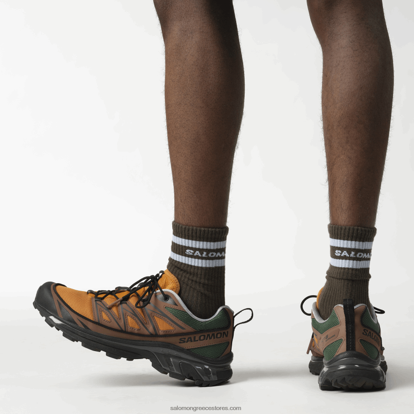 ανδρικά αθλητικά παπούτσια - xt-6 expanse 75η Salomon χρυσή δρυς/βελανίδι/μαύρο DXFPHB225