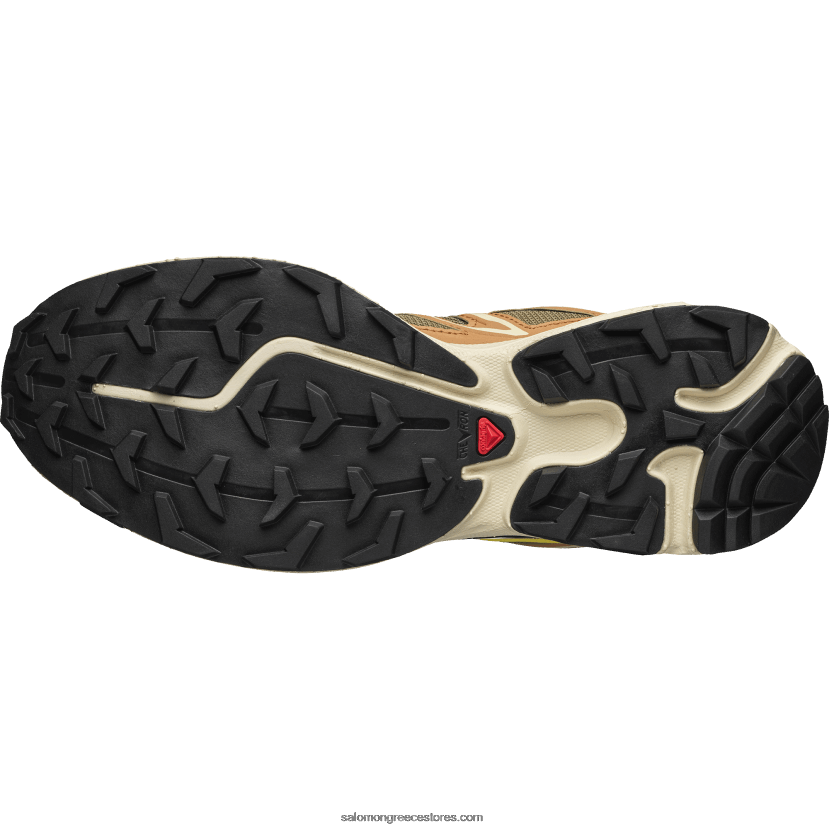 ανδρικά αθλητικά παπούτσια - xt-6 expanse Salomon μπαχαρικό cathay/σαύρα/νεραγκούλα DXFPHB100