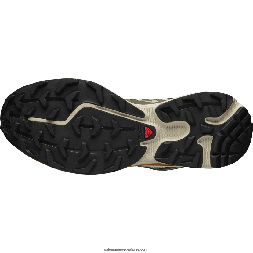 ανδρικά αθλητικά παπούτσια - xt-6 expanse Salomon φτερό γκρι/delicioso/χρυσή δρυς DXFPHB99