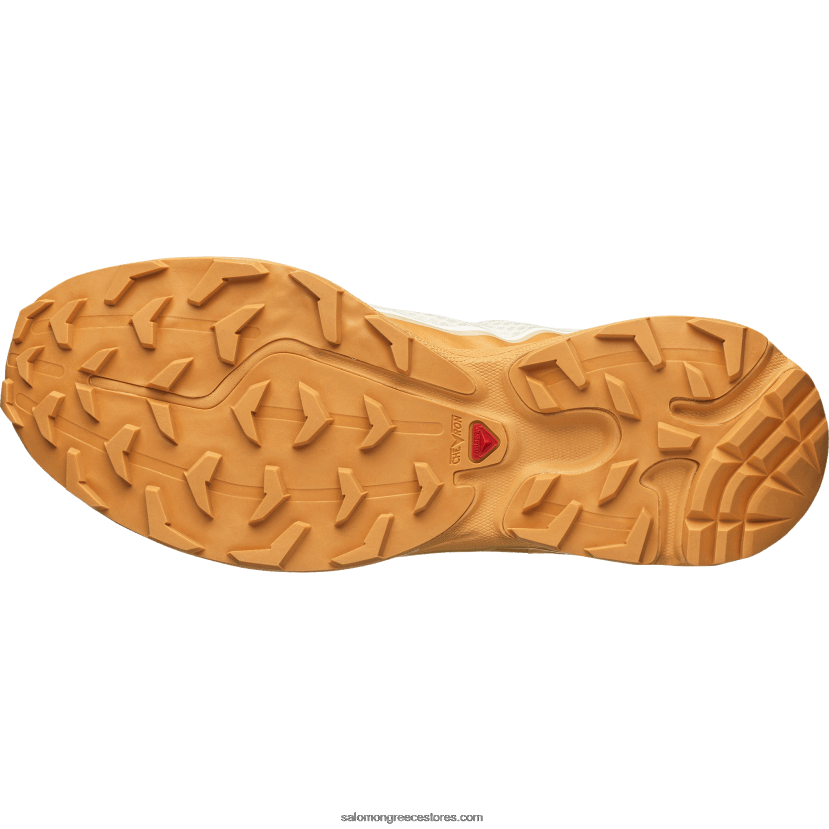 ανδρικά αθλητικά παπούτσια - xt-6 ft Salomon πάγος βανίλιας/κοτσάνι/φουντούκι DXFPHB91