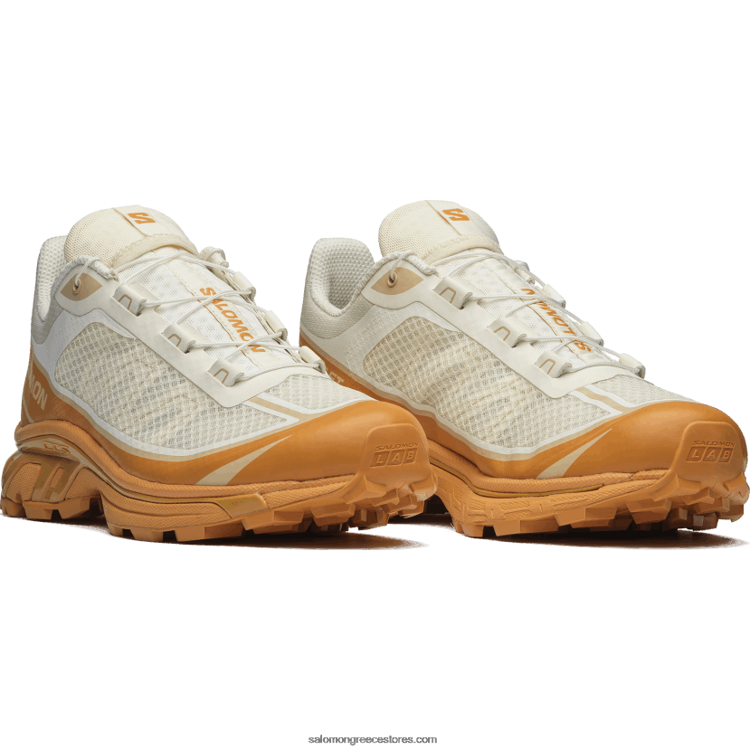ανδρικά αθλητικά παπούτσια - xt-6 ft Salomon πάγος βανίλιας/κοτσάνι/φουντούκι DXFPHB91