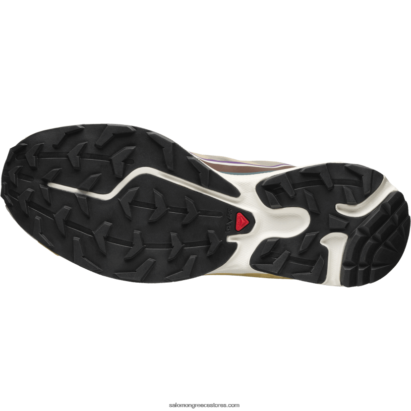 ανδρικά αθλητικά παπούτσια - xt-6 ft Salomon βασιλική λιλά/φοντάν σοκολάτας/φθινοπωρινό φύλλο DXFPHB96