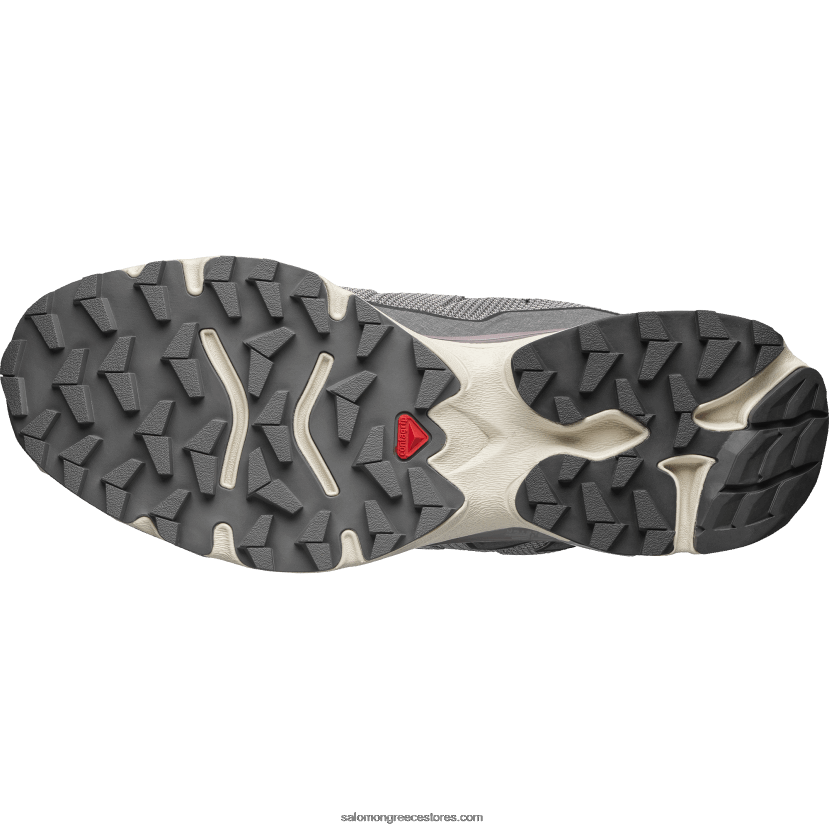 ανδρικά αθλητικά παπούτσια - xt-slate advanced Salomon γλάρος / σεληνιακό τοπίο / κασσίτερος DXFPHB154