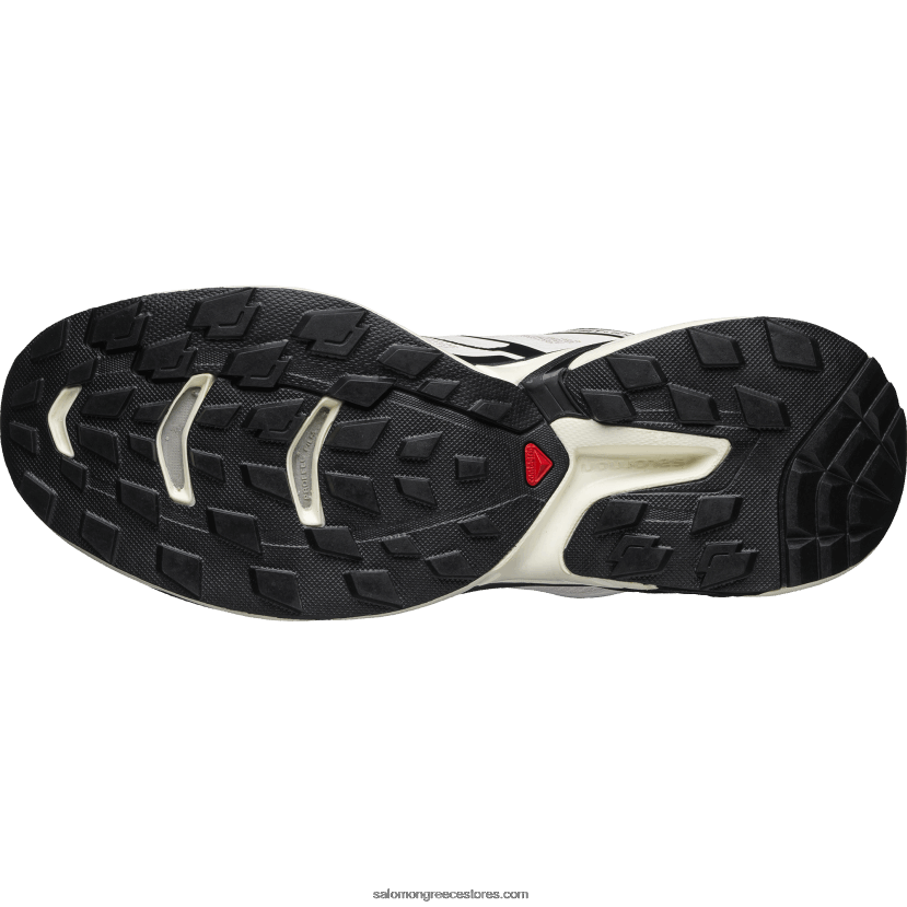 ανδρικά αθλητικά παπούτσια - xt-wings 2 Salomon λίκνο ροζ/βανίλια πάγου/μαύρο DXFPHB186