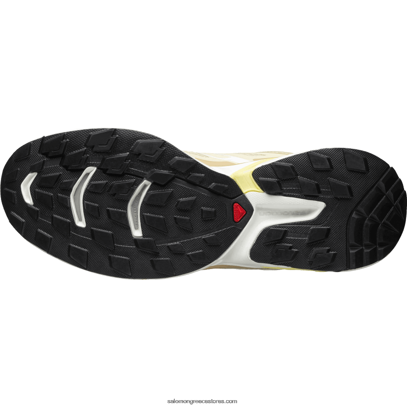 ανδρικά αθλητικά παπούτσια - xt-wings 2 Salomon τρυγόνι/λευκό/φουντουκιά DXFPHB192