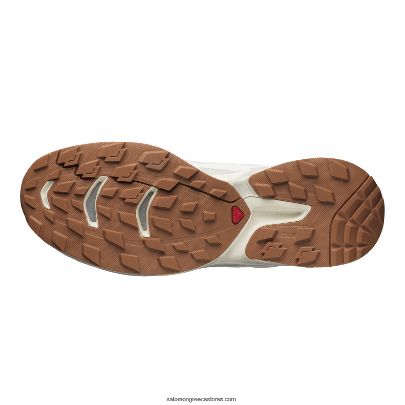 ανδρικά αθλητικά παπούτσια - xt-wings 2 Salomon λευκό/σεληνιακό βράχο/πάγο βανίλιας DXFPHB195