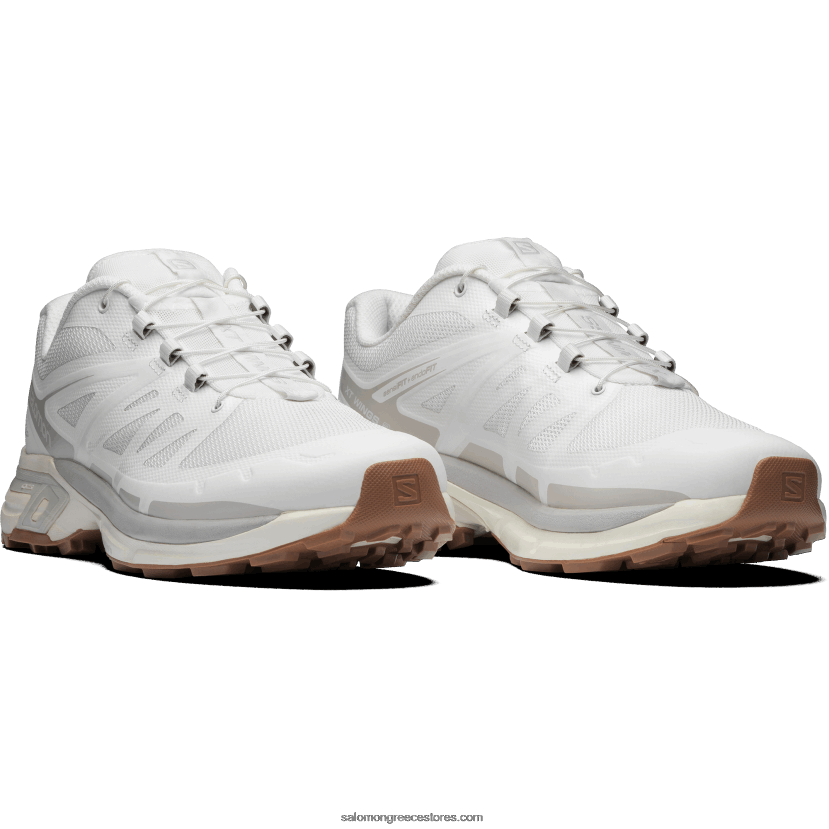 ανδρικά αθλητικά παπούτσια - xt-wings 2 Salomon λευκό/σεληνιακό βράχο/πάγο βανίλιας DXFPHB195