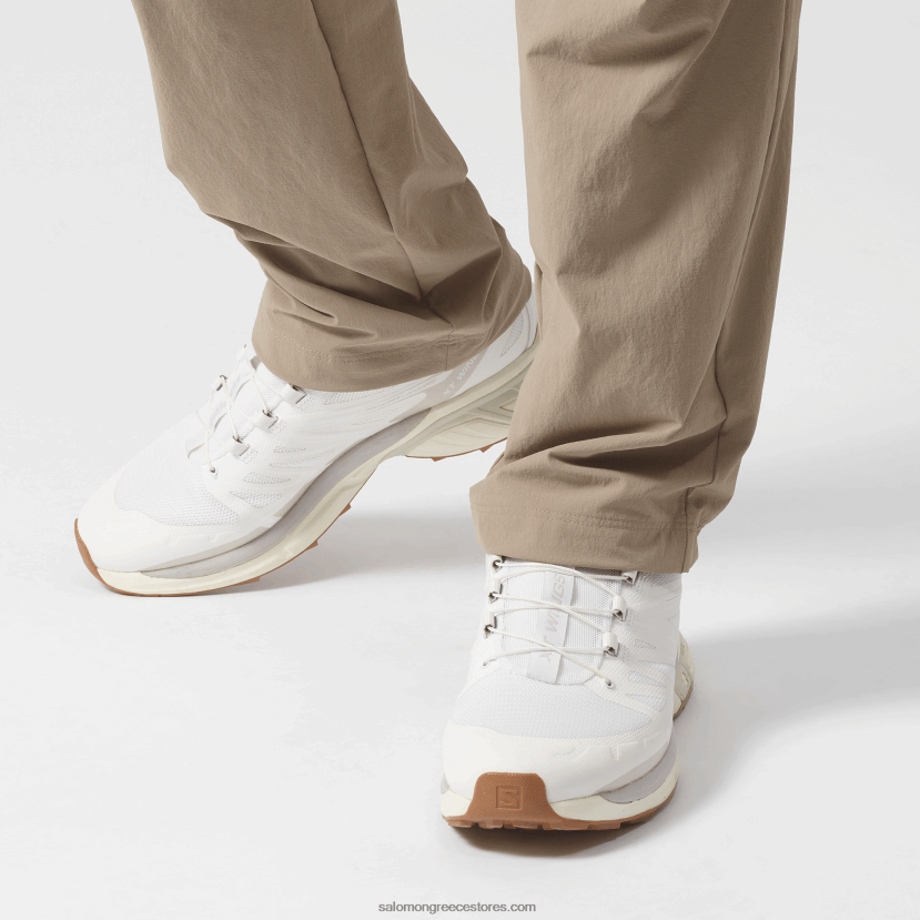 ανδρικά αθλητικά παπούτσια - xt-wings 2 Salomon λευκό/σεληνιακό βράχο/πάγο βανίλιας DXFPHB195
