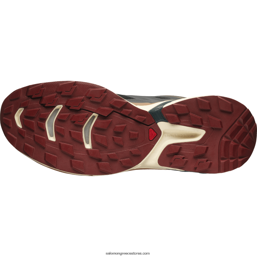 ανδρικά αθλητικά παπούτσια - xt-wings 2 Salomon μαύρη/λευκασμένη άμμος/πεύκο ponderosa DXFPHB197