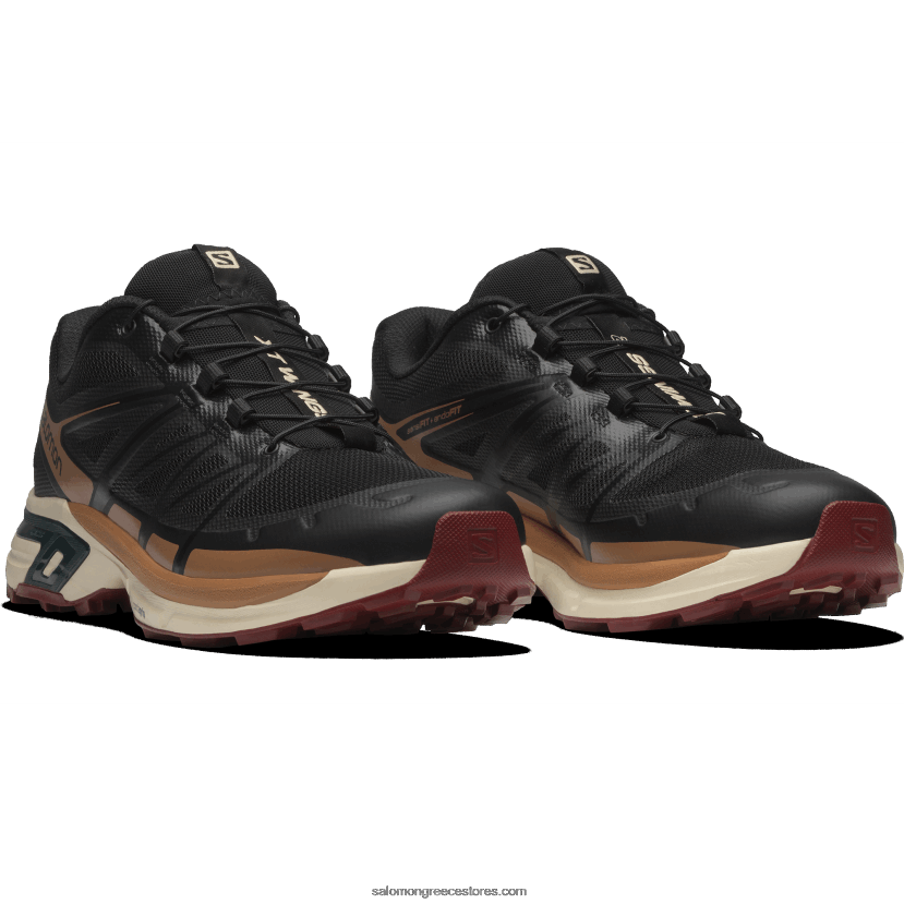 ανδρικά αθλητικά παπούτσια - xt-wings 2 Salomon μαύρη/λευκασμένη άμμος/πεύκο ponderosa DXFPHB197