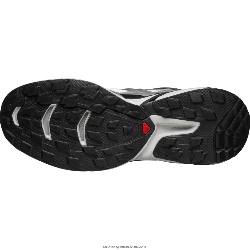 ανδρικά αθλητικά παπούτσια - xt-wings 2 Salomon λευκό/ασημί μεταλλικό x/μαύρο DXFPHB194